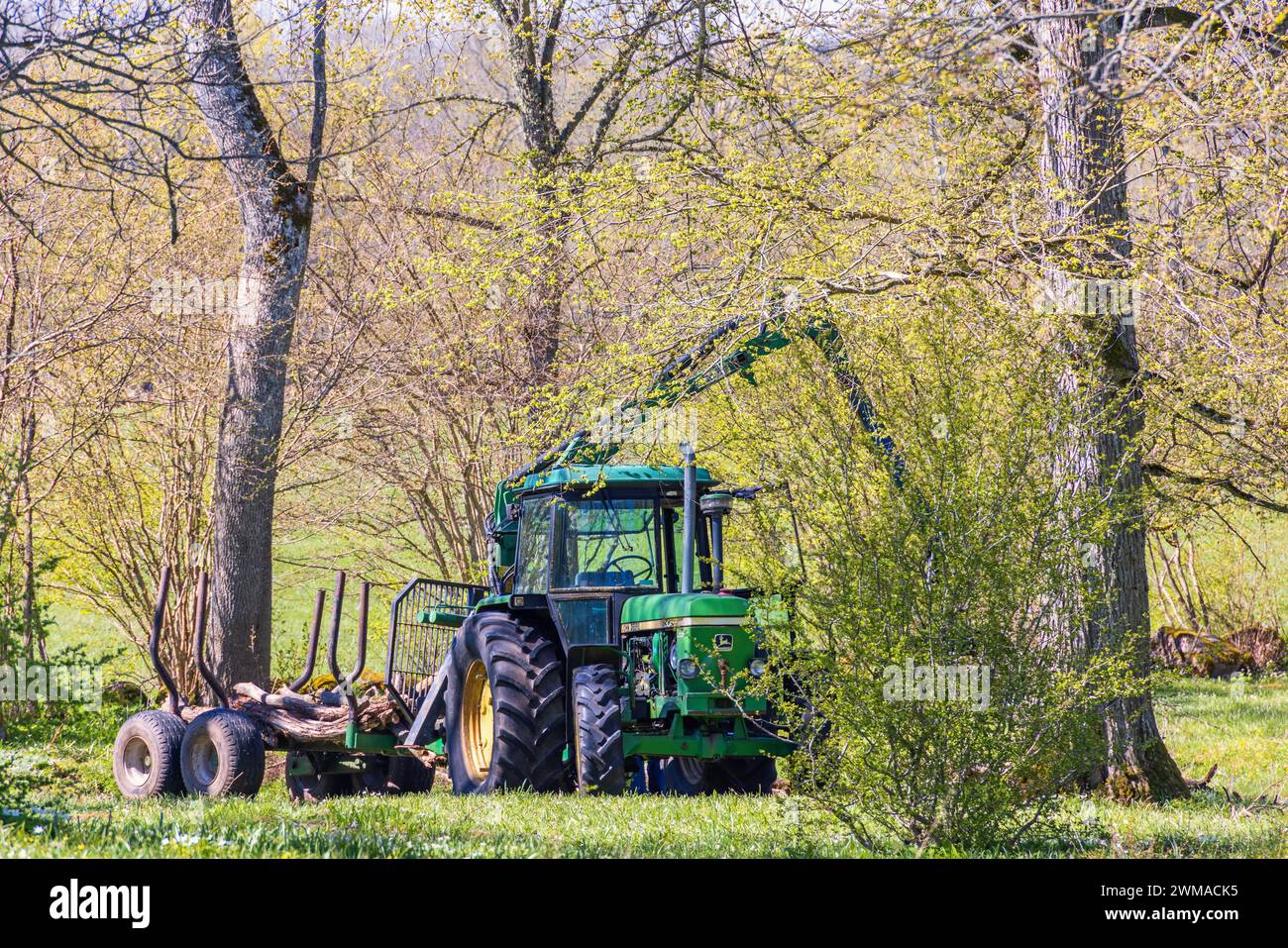 Traktor mit Wagen im Laubwald im Frühjahr für Waldarbeiten Stockfoto