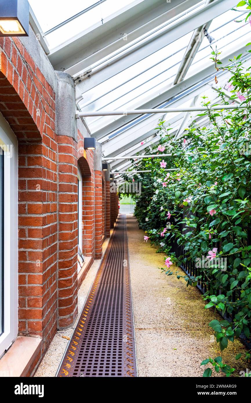 Das Innere des Tropical Ravine, ein im 19. Jahrhundert mit exotischen und gemäßigten Pflanzen gestaltetes Gewächshaus im Botanischen Garten in der Nähe des Ulster Museums in Belfast Stockfoto