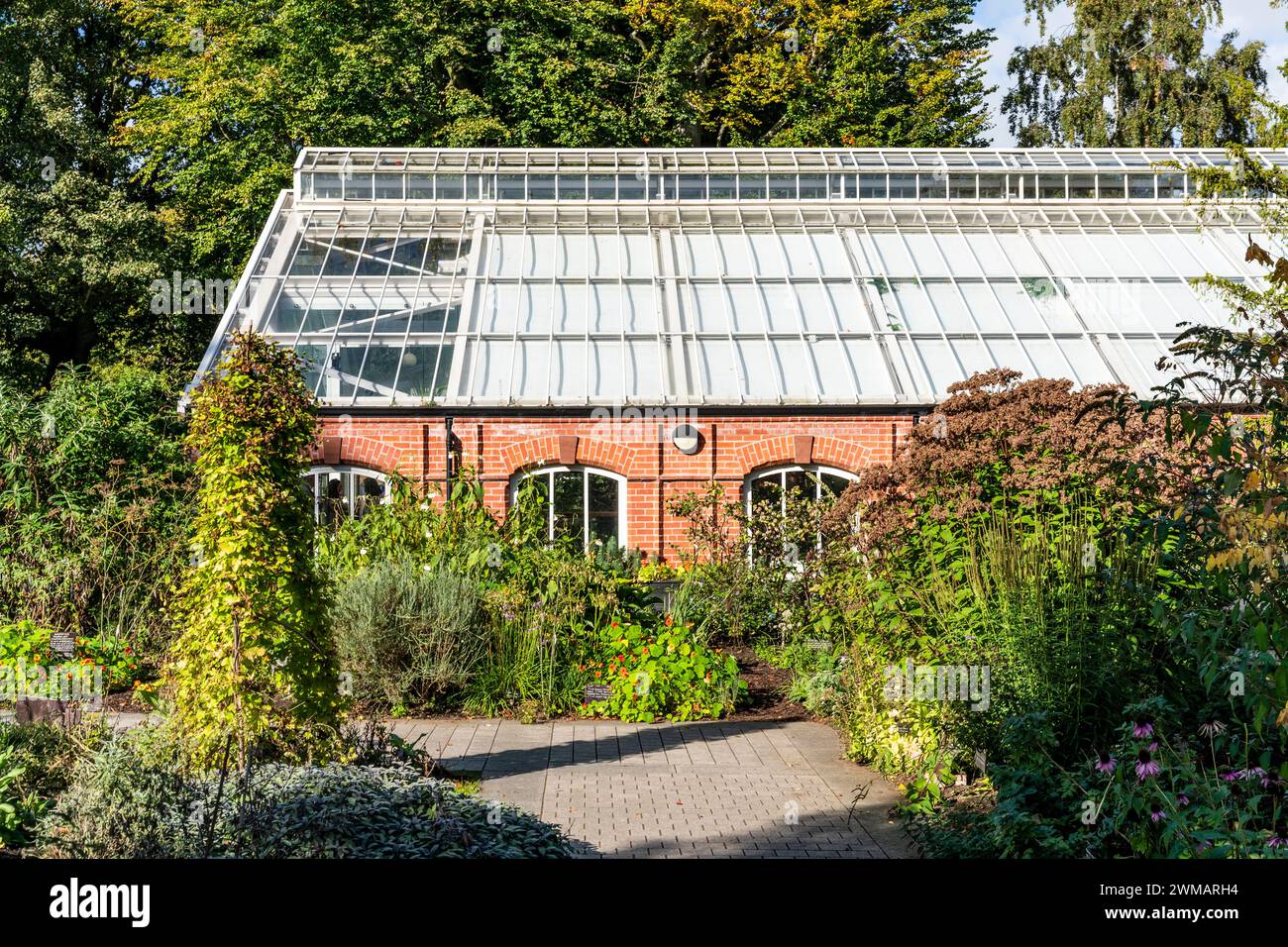 Äußere der Tropischen Schlucht, im 19. Jahrhundert mit exotischen und gemäßigten Pflanzen gestaltetes Gewächshaus im Botanischen Garten in der Nähe des Ulster Museums in Belfast Stockfoto