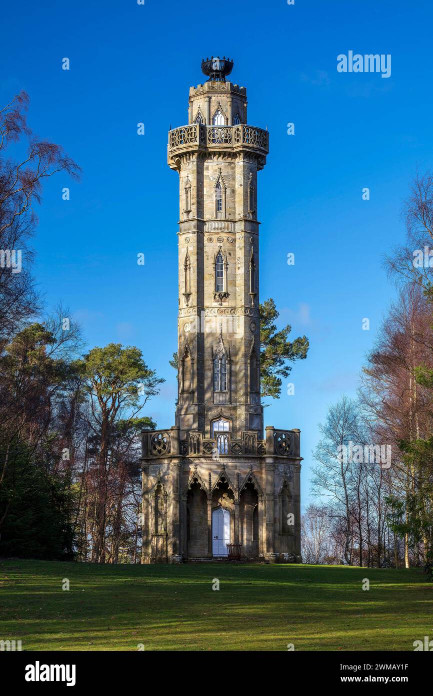 Blick im Spring of Brizlee Tower in Hulne Park, Alnwick, Northumberland, England, Großbritannien Stockfoto