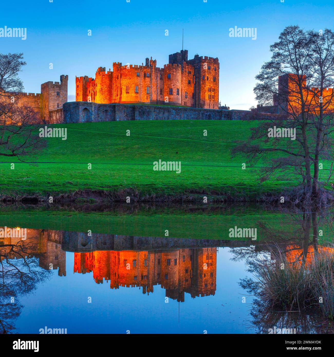 Blick auf Alnwick Castle in Northumberland, beleuchtet bei Nacht, während sie im Fluss ALN von den Weiden aus gesehen reflektiert wird Stockfoto