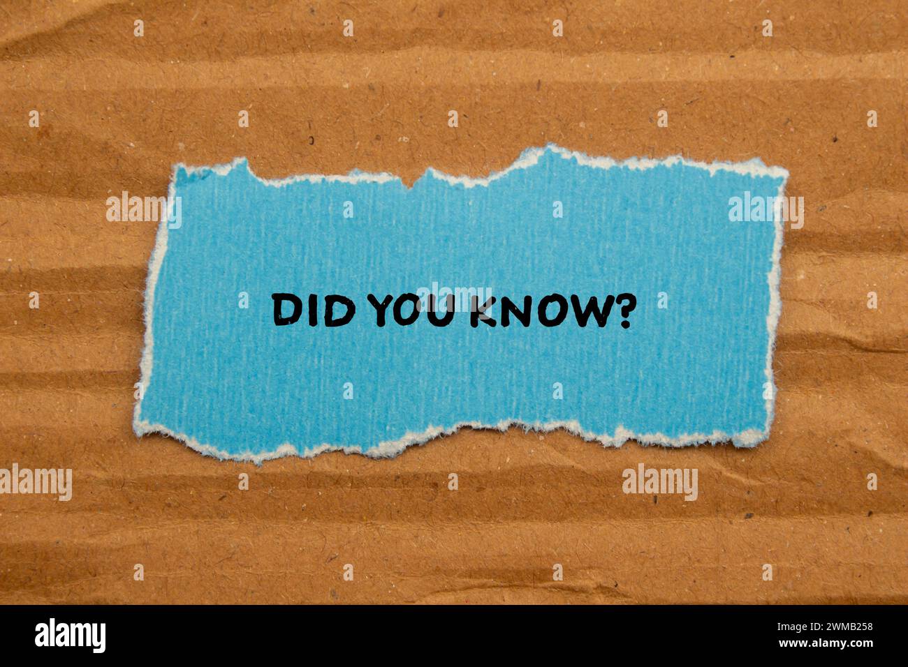 Wussten Sie schon? Frage auf blauem zerrissenem Papier mit Papphintergrund geschrieben. Konzeptsymbol. Kopierbereich. Stockfoto