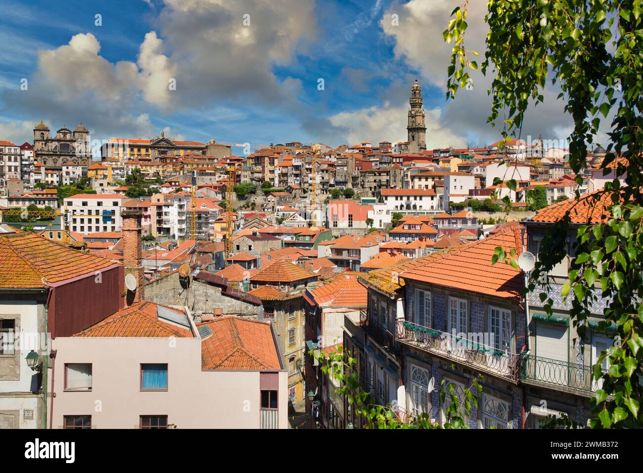 Altstadt, Blick vom Pelourinho-Platz, Porto, Portugal Stockfoto