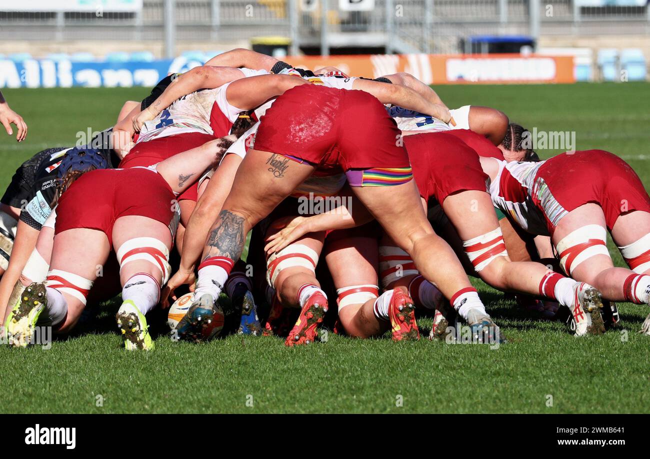 Exeter, Devon, Großbritannien. Februar 2024. Allianz Premiership Women's Rugby: Exeter Chiefs gegen Harlequins Women in Sandy Park, Exeter, Devon, Großbritannien. Im Bild: Quins Scrum Credit: Nidpor/Alamy Live News Stockfoto