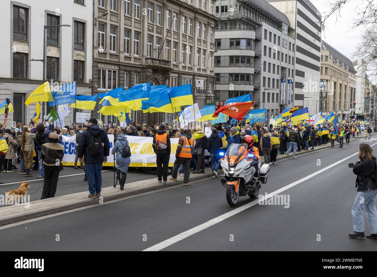 Brüssel, Belgien Februar 2024. Nationale Demonstration „die Welt hat sich verändert! Steh auf! Europa Schützen!“ Organisiert von Promote Ukraine, Sonntag, den 25. Februar 2024, in Brüssel, zwei Jahre nach Beginn des Konflikts zwischen der Ukraine und Russland. BELGA FOTO NICOLAS MAETERLINCK Credit: Belga News Agency/Alamy Live News Stockfoto