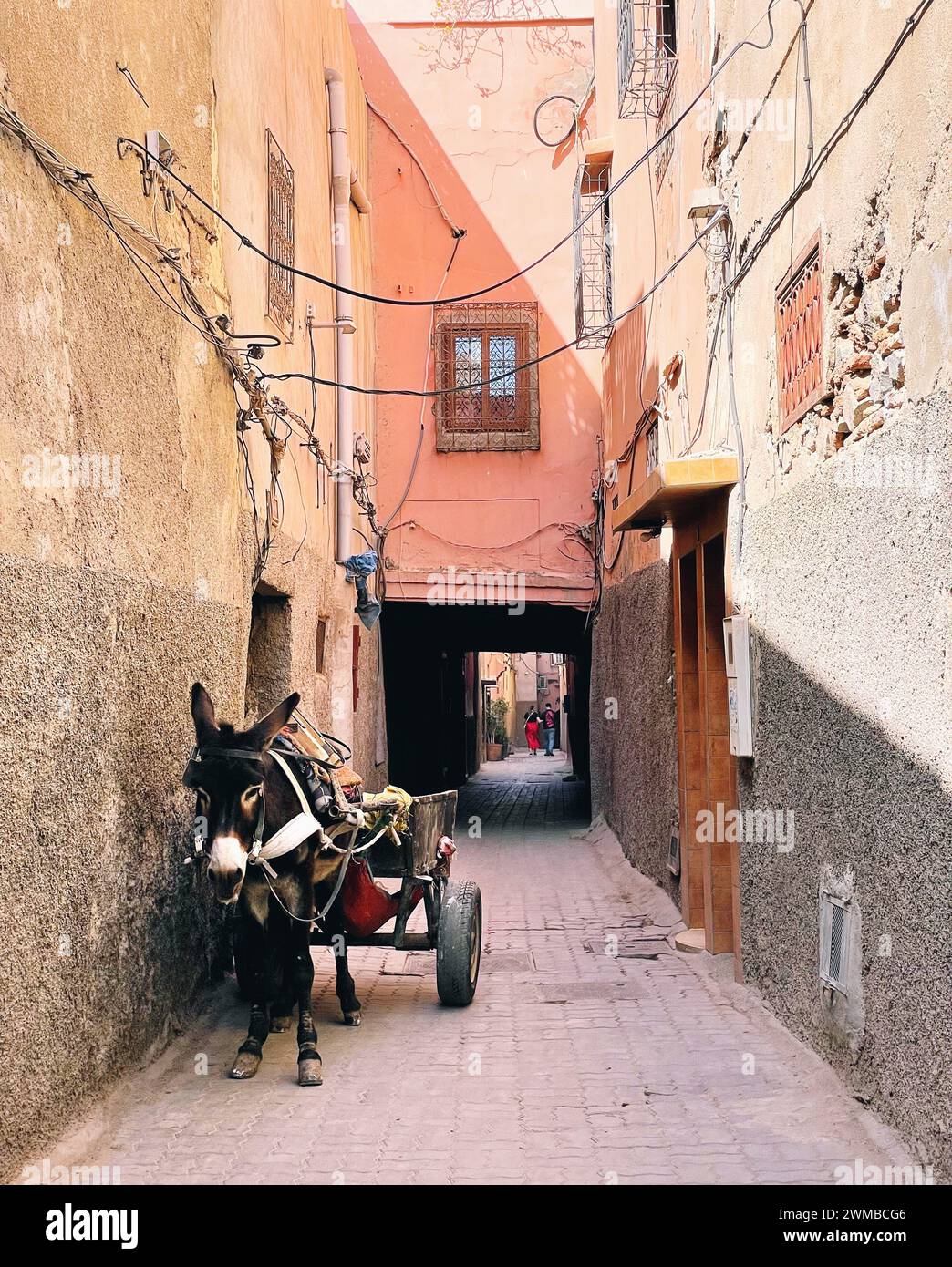 Esel und Wagen in Marrakesch, Marokko Stockfoto