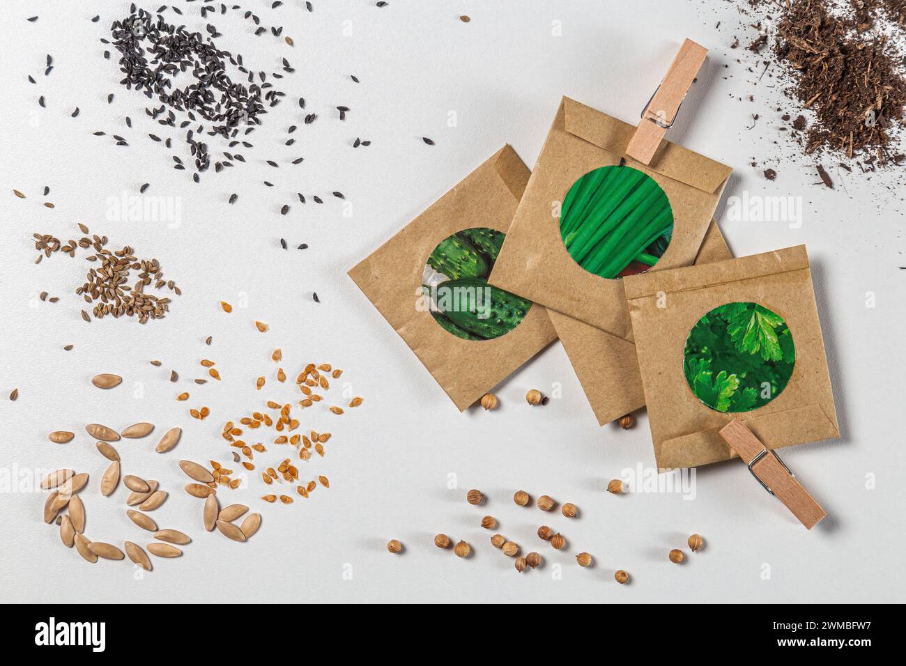 Packungen mit verschiedenen Samen auf weißem Hintergrund. Nahaufnahme. Pflanzen von Gemüse. Vorbereitung auf die Gartensaison im Frühjahr. Stockfoto