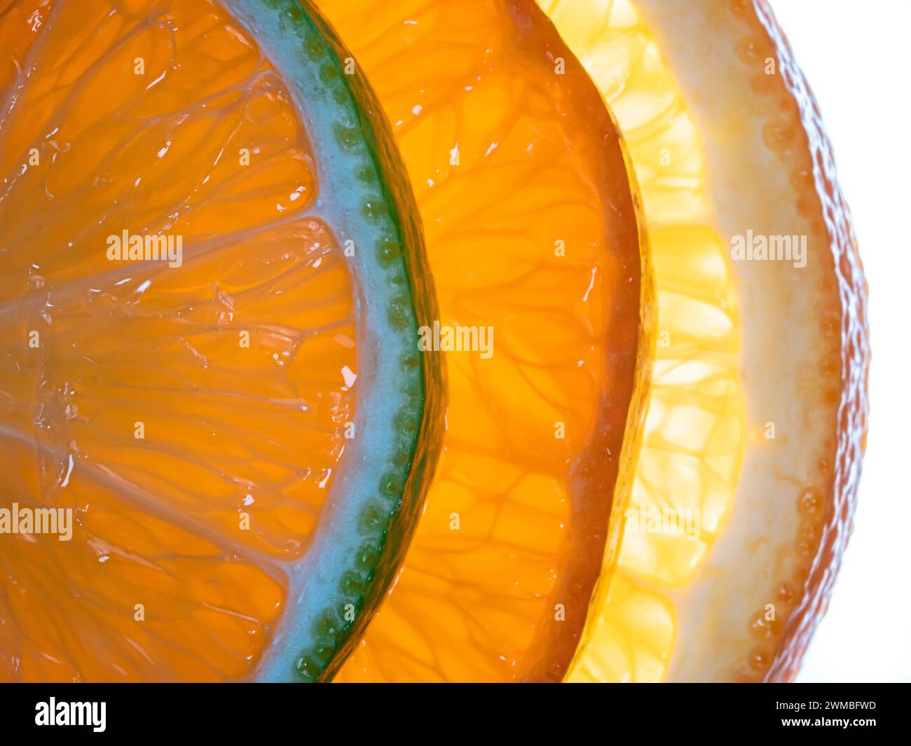 Bunte Zitrusfrüchte-Scheiben auf weißem Hintergrund, Draufsicht. Stockfoto