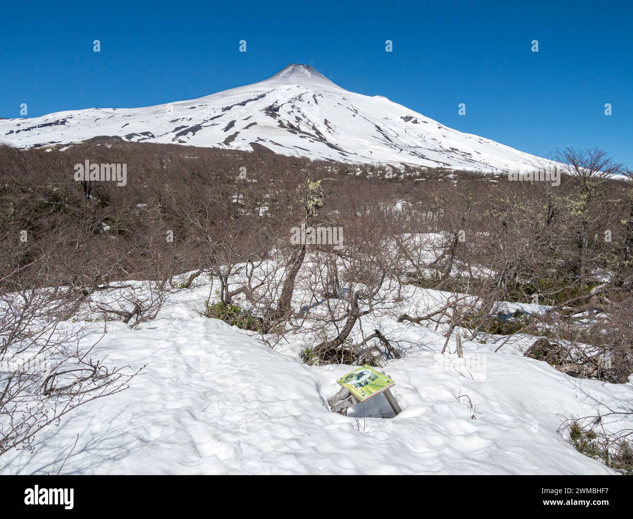Wanderweg zum Aussichtspunkt El Mirador Los Crateres, Pfad bedeckt mit Schnee, Vulkan Villarica, Villarica Nationalpark, Chile Stockfoto