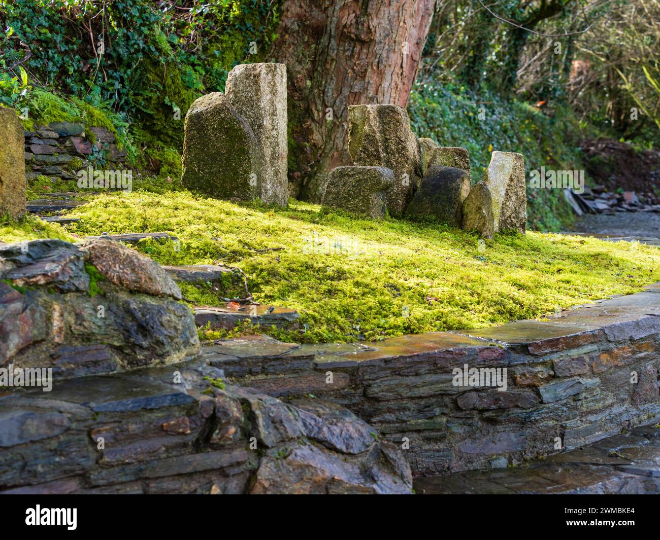 Japanisch beeinflusste Moosgarten mit lokalen Granitsteinen und Schieferplatten im Garden House, Devon, Großbritannien Stockfoto