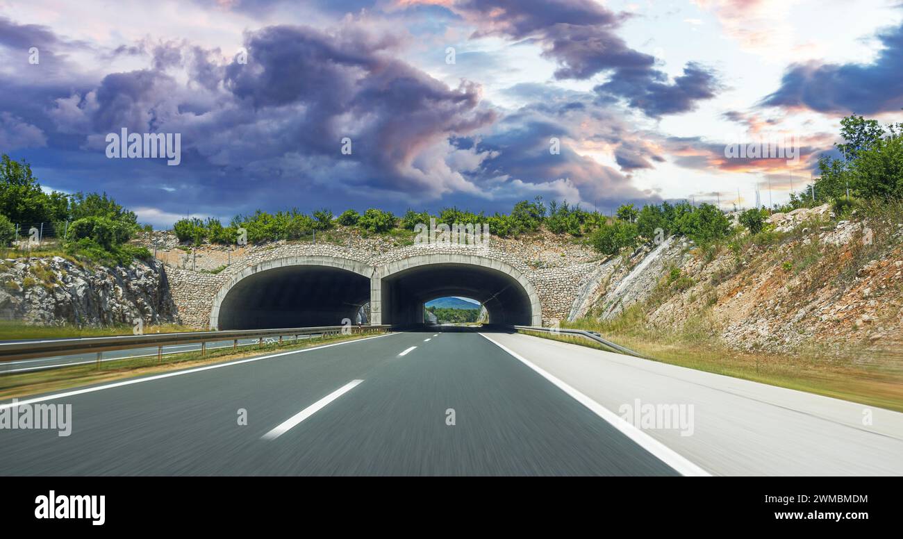 Brücke für Tiere auf der Autobahn. Stockfoto