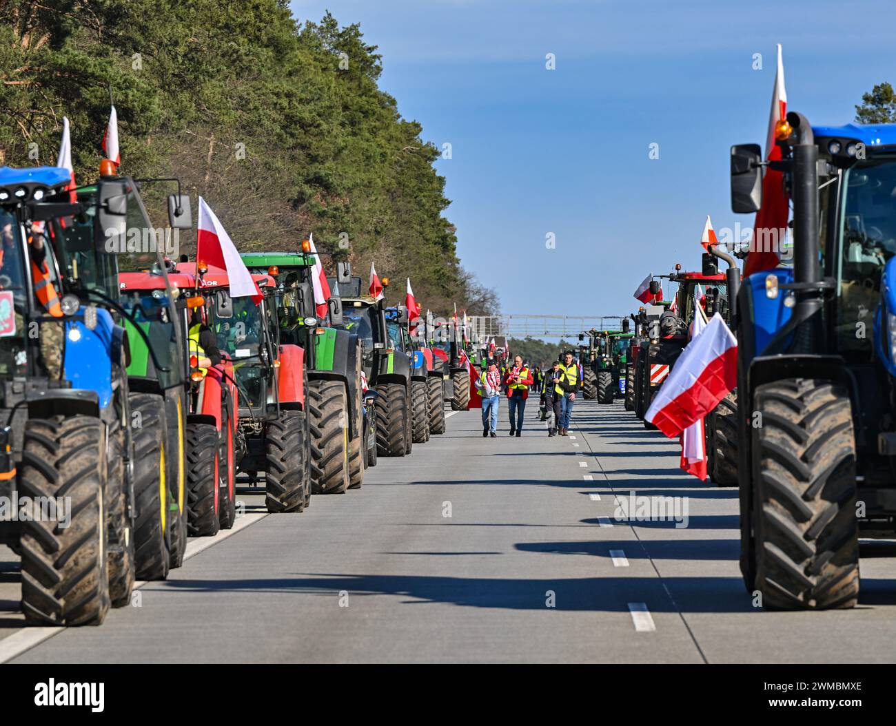 Slubice, Polen. Februar 2024. Bauern aus Polen fahren ihre Fahrzeuge auf der Autobahn A2 (Europastraße 30) in Richtung deutsch-polnischer Grenze (Frankfurt/oder). Die seit Wochen andauernden Proteste polnischer Landwirte richten sich gegen die EU-Agrarpolitik, aber auch gegen den Import billiger Agrarprodukte aus der Ukraine. Quelle: Patrick Pleul/dpa/Alamy Live News Stockfoto