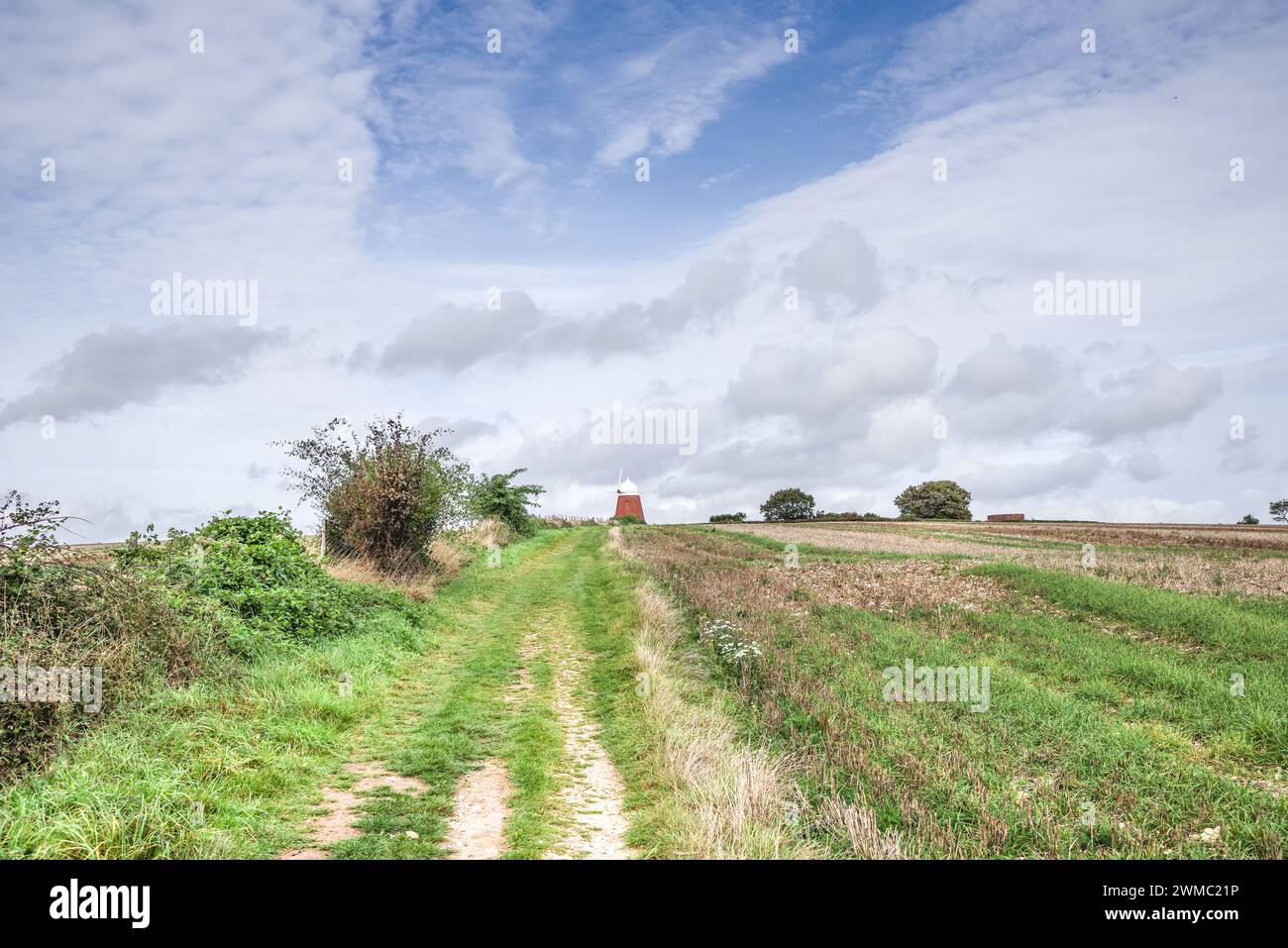 Halnaker Windmill versteckt in den Feldern in der Nähe von Chichester in der Landschaft von West Sussex (England, Großbritannien) Stockfoto