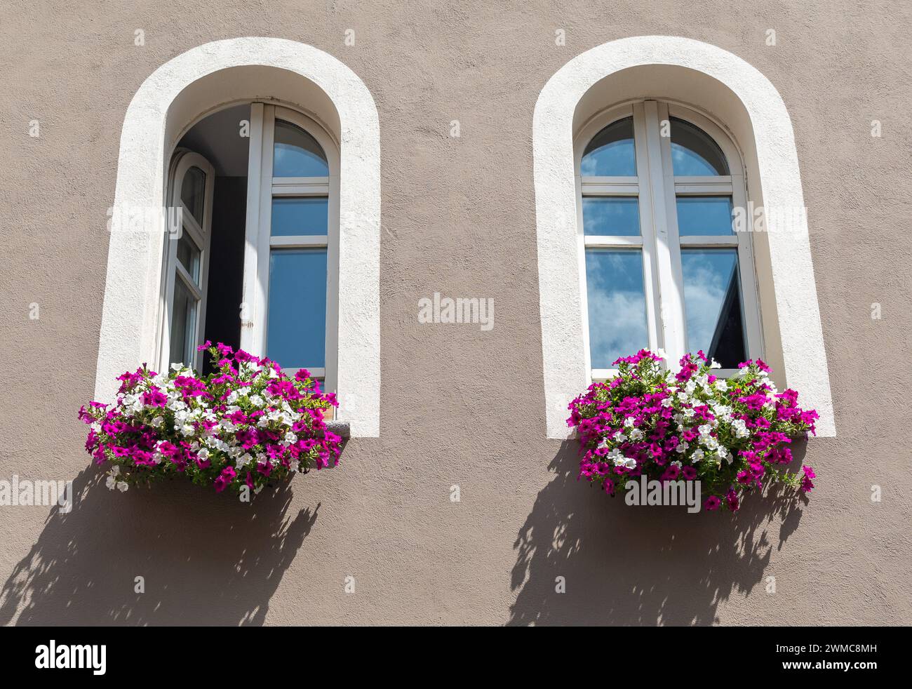 Zwei Bogenfenster mit blühenden Petunenpflanzen auf den Schwellen, Italien Stockfoto