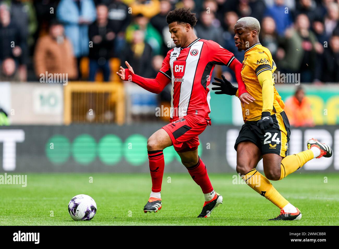 Wolverhampton, Großbritannien. Februar 2024. Sheffields Rhian Brewster wird von Wolves' Toti während des Premier League-Spiels zwischen den Wolverhampton Wanderers und Sheffield United am 25. Februar 2024 in Molineux, Wolverhampton, England, verfolgt. Foto von Stuart Leggett. Nur redaktionelle Verwendung, Lizenz für kommerzielle Nutzung erforderlich. Keine Verwendung bei Wetten, Spielen oder Publikationen eines einzelnen Clubs/einer Liga/eines Spielers. Quelle: UK Sports Pics Ltd/Alamy Live News Stockfoto