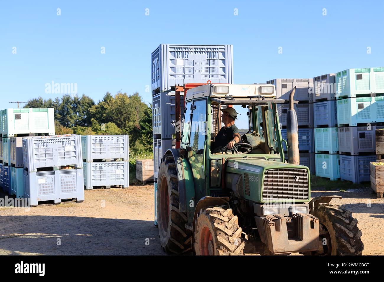 Apfelernte auf der „Limousin-Apfelstraße“ in Frankreich. Landwirtschaft, Apfelanbau, menschliche Ernährung und die Krise des landwirtschaftlichen Einkommens für Landwirte. Corrè Stockfoto