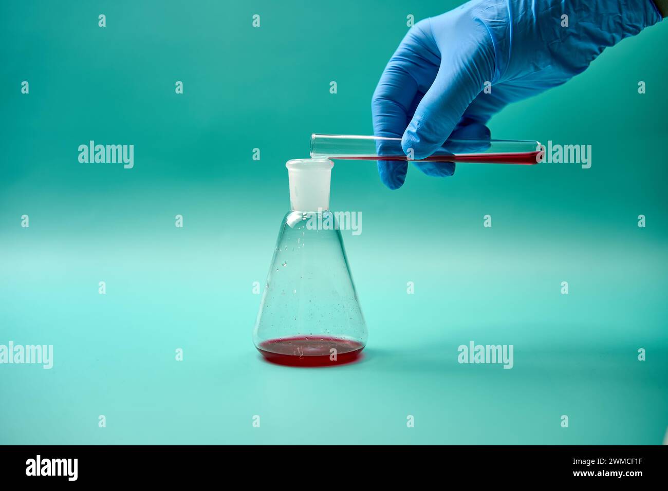 Hand eines anonymen Mediziners im Einweghandschuh, der rote Flüssigkeitsprobe aus dem Reagenzglas in den Titrationskolben während der wissenschaftlichen Laborresear gießt Stockfoto