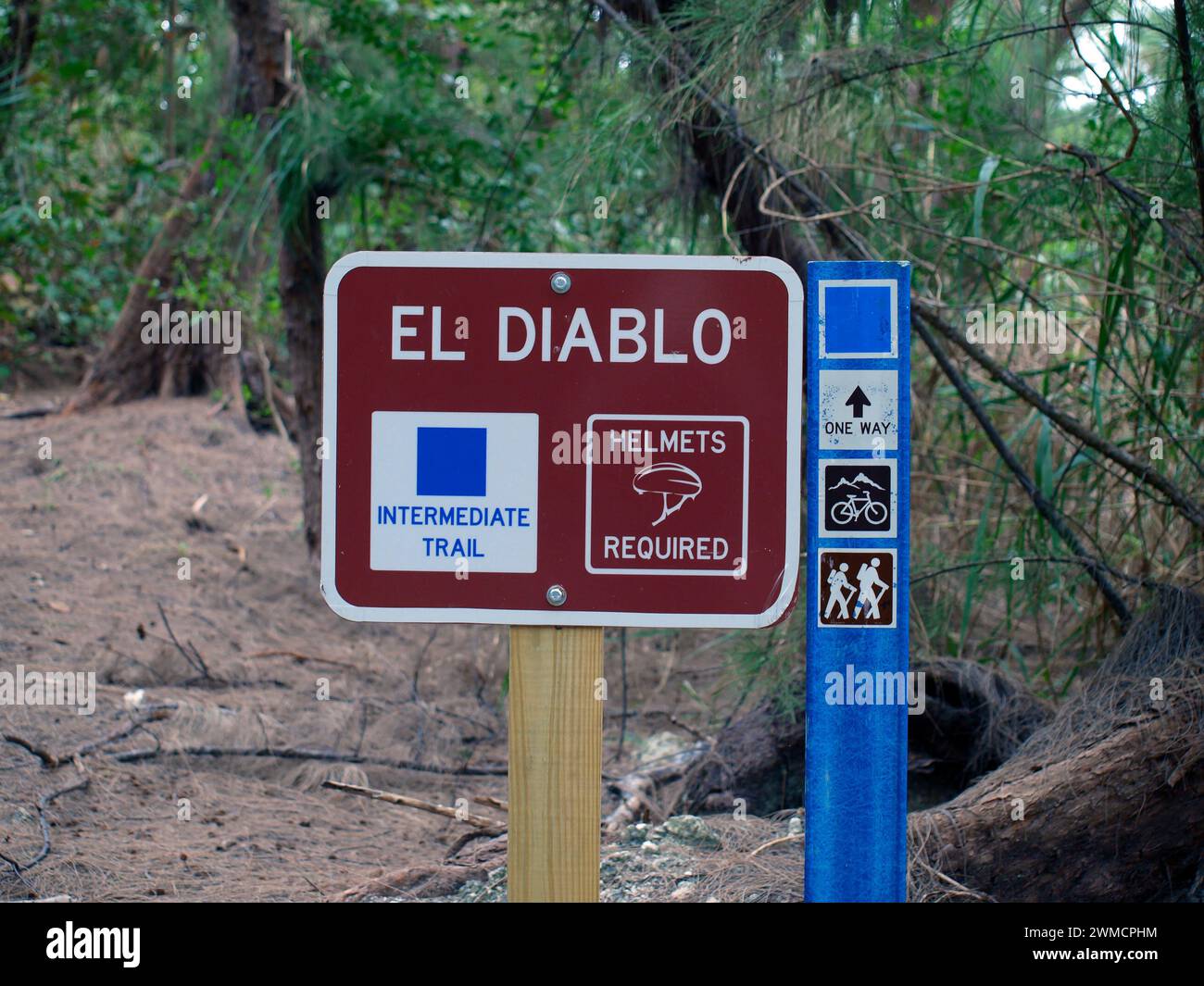 Miami, Florida, Vereinigte Staaten - 27. Januar 2024: Mittelschwerer Mountainbike-Trail im Oleta River State Park. Stockfoto