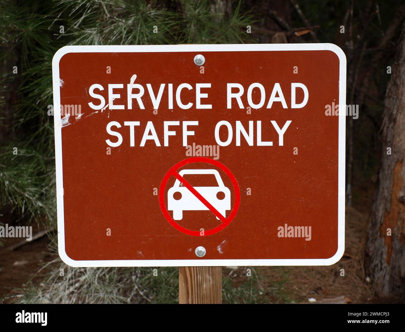 Miami, Florida, USA - 27. Januar 2024: Schild des Service Road Personals in einem Florida State Park (Oleta River). Symbol „keine Autos“. Stockfoto