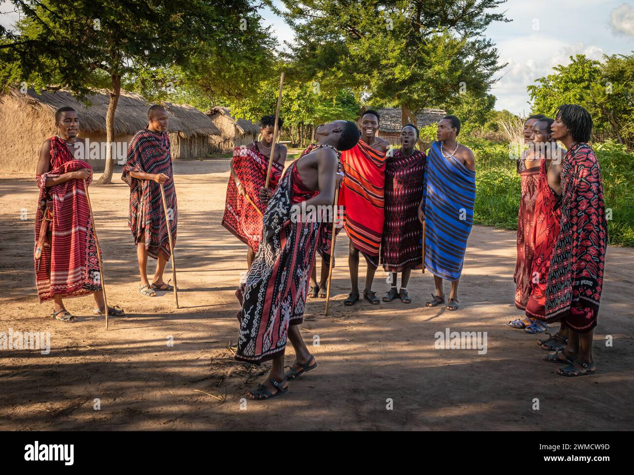 Eine Gruppe von Maasai-Kriegern singen und führen den traditionellen Springtanz in ihrem Dorf in Mikumi, Tansania, auf Stockfoto