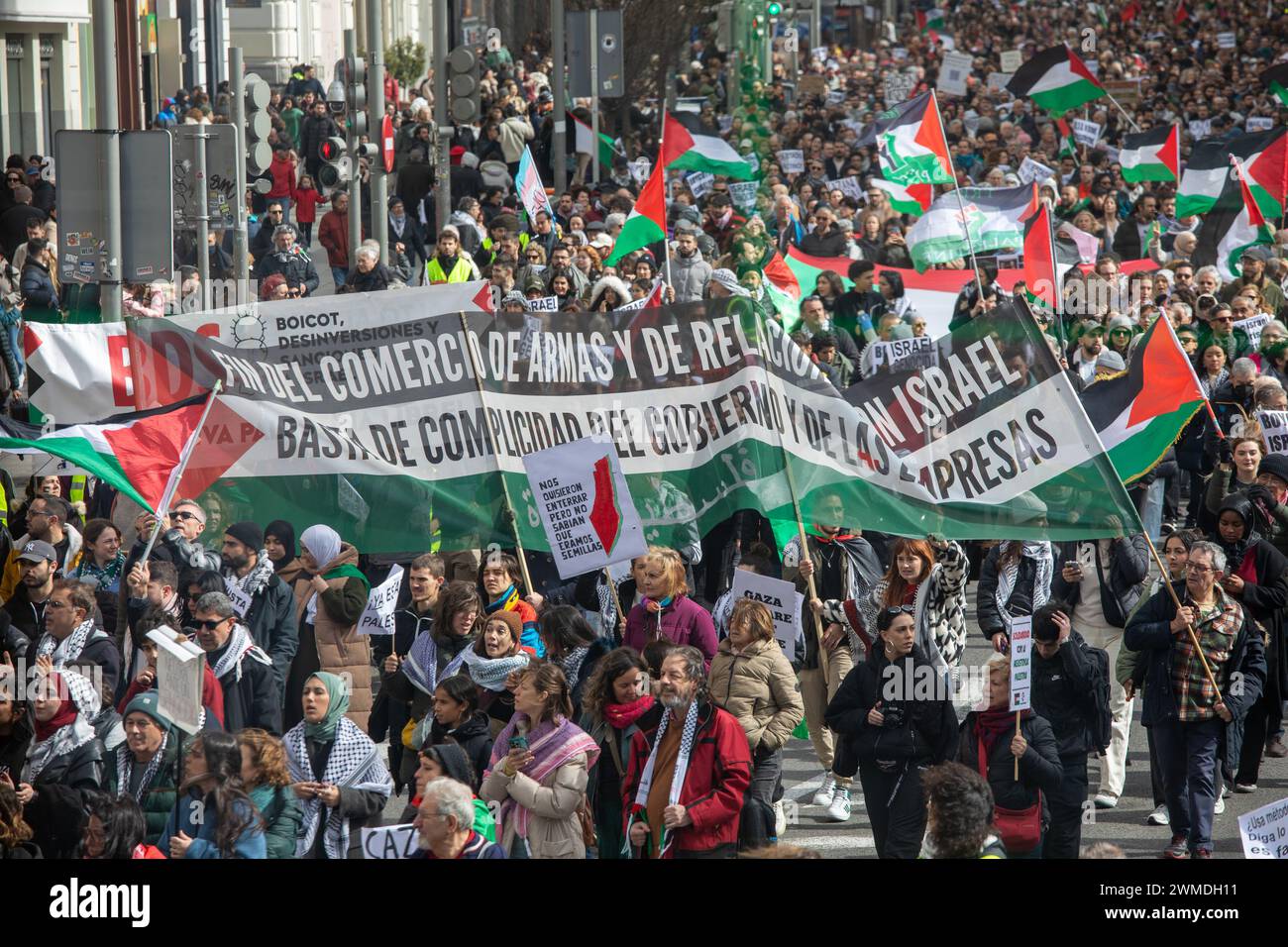 Madrid, Spanien. Februar 2024. Demonstranten marschieren durch die Straße, während sie während der pro-palästinensischen Demonstration palästinensische Fahnen halten, Banner und Schilder. Tausende von Menschen demonstrierten am Sonntag, dem 25. Februar, im Zentrum von Madrid, um einen Waffenstillstand des Staates Israel gegen das palästinensische Volk sowie die Beendigung des Waffenverkaufs Spaniens an den Staat Israel zu fordern. Quelle: SOPA Images Limited/Alamy Live News Stockfoto