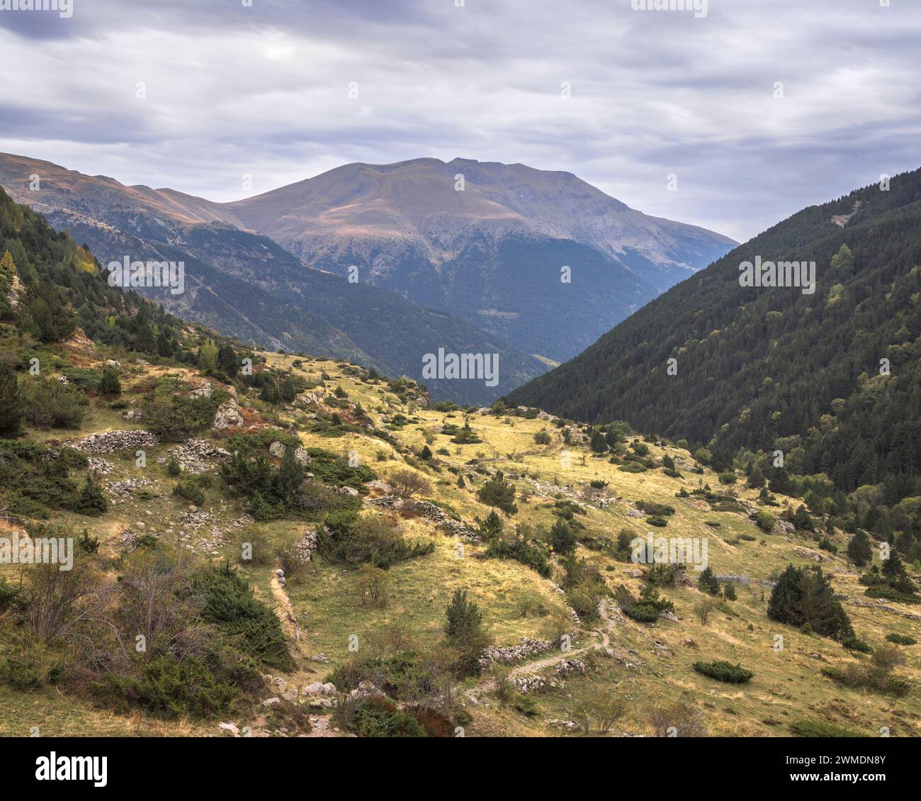 Tal in Vall Fosca in den katalanischen Pyrenäen mit Bäumen und Bergen im Hintergrund Stockfoto