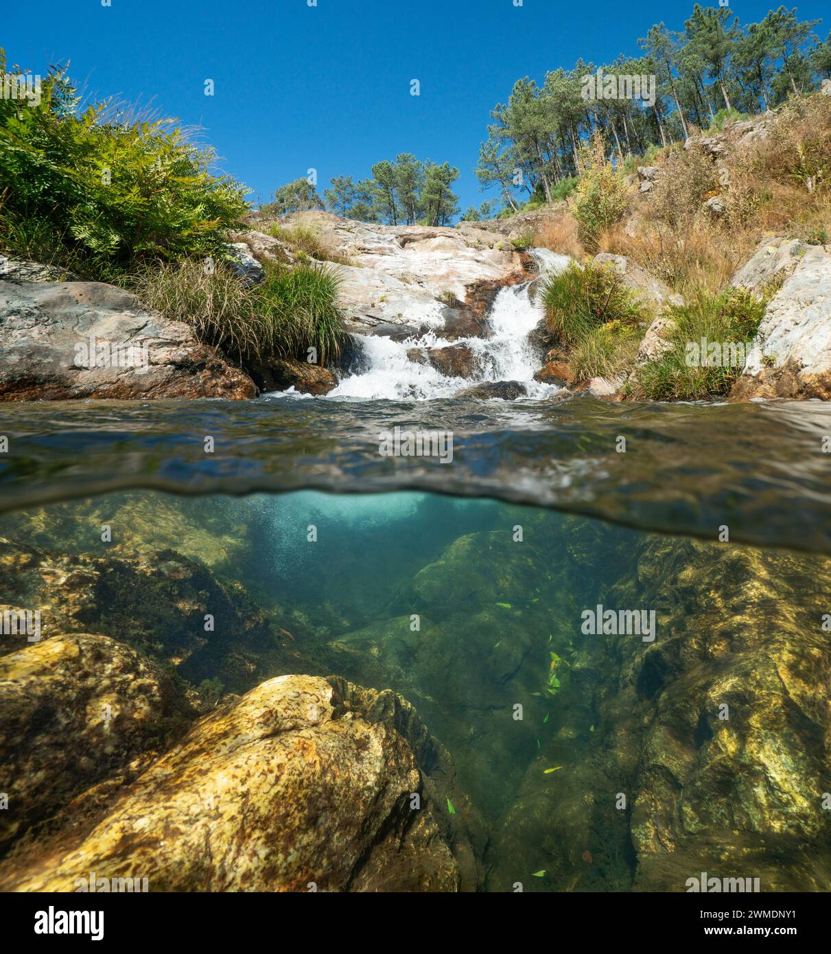 Kleine Kaskade in einem Fluss in Spanien, geteilter Blick zur Hälfte über und unter der Wasseroberfläche, natürliche Szene, Galicien, Provinz Pontevedra Stockfoto