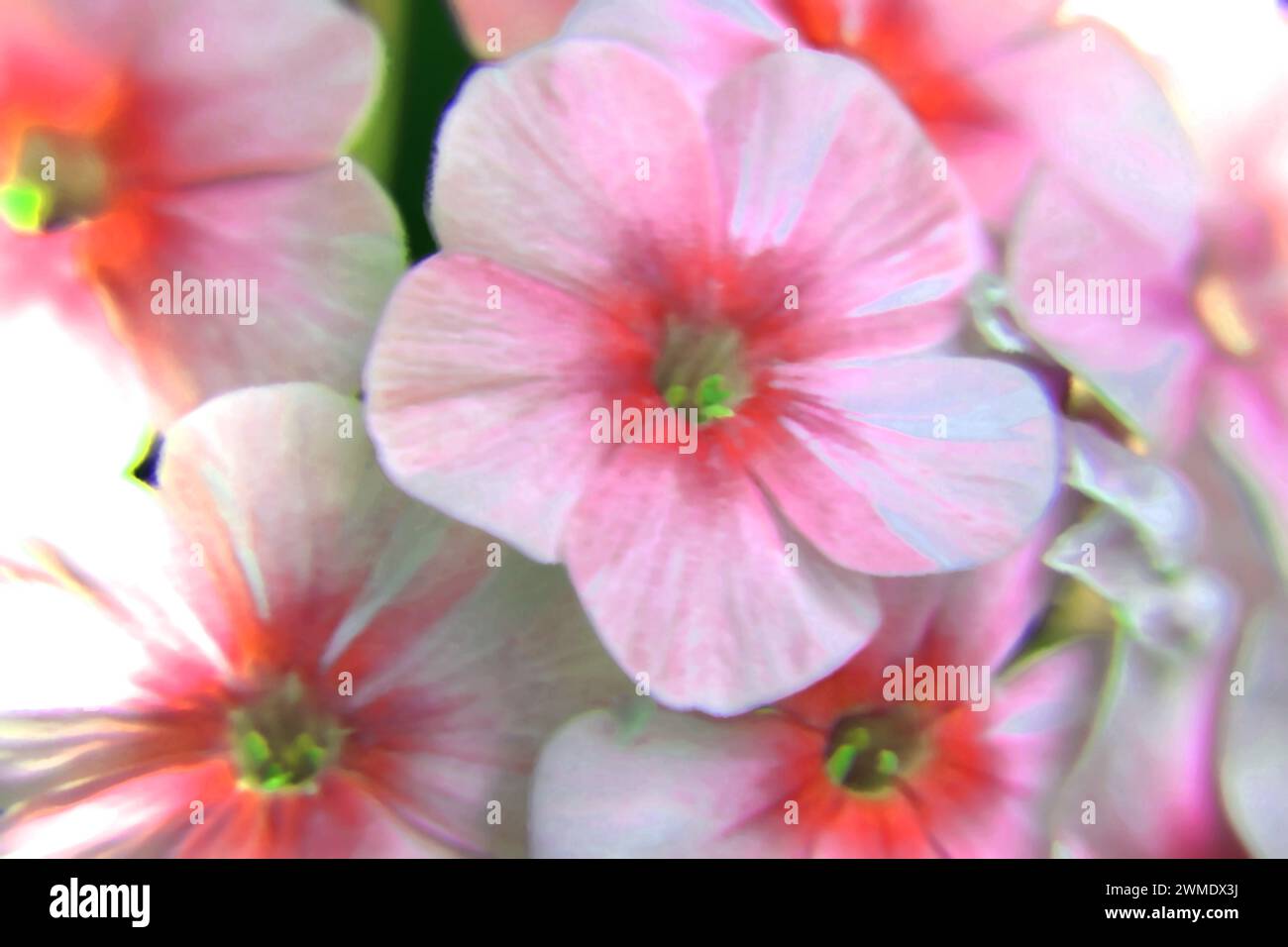 Unscharfer floraler Hintergrund. Konzept. Frühlingszeit. Die Natur blüht. Zeichnung. Nahaufnahme. Stockfoto