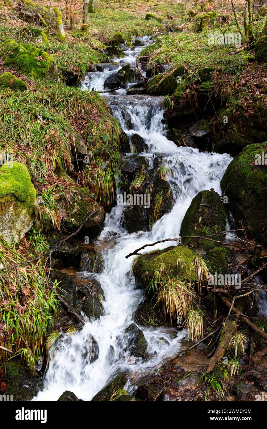 Fluss in den Vogesen mit leuchtendem Wasserfall. Die Intimität eines kleinen Gebirgsbaches in den Vogesen des Elsass. Frankreich Stockfoto