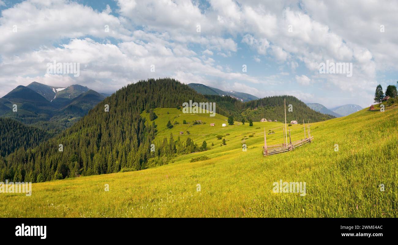 Sommer blühenden grünen Bergwiese mit Bauernhaus (Karpaten, Ukraine) Stockfoto