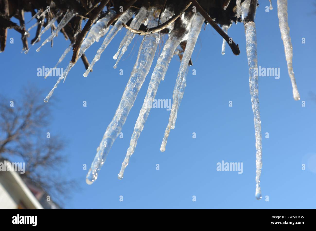 Gefrorene Pfeife (Frostbilder) bei starkem Schneefall in hügeligen Gebieten Stockfoto Gefrorene Pfeife (Frostbilder) bei starkem Schneefall in hügeligen Gebieten Stockfoto
