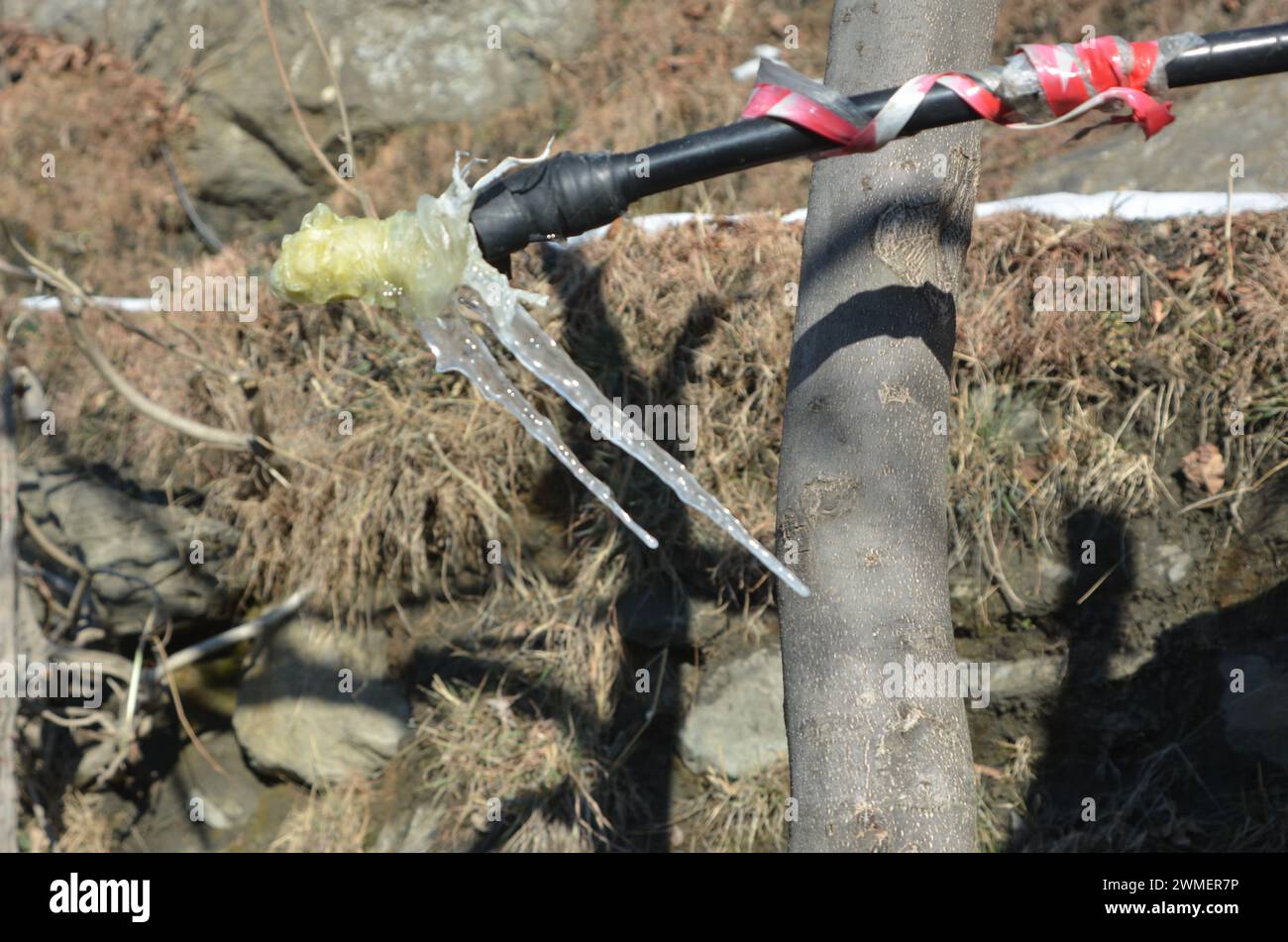 Gefrorene Pfeife (Frostbilder) bei starkem Schneefall in hügeligen Gebieten Stockfoto Gefrorene Pfeife (Frostbilder) bei starkem Schneefall in hügeligen Gebieten Stockfoto