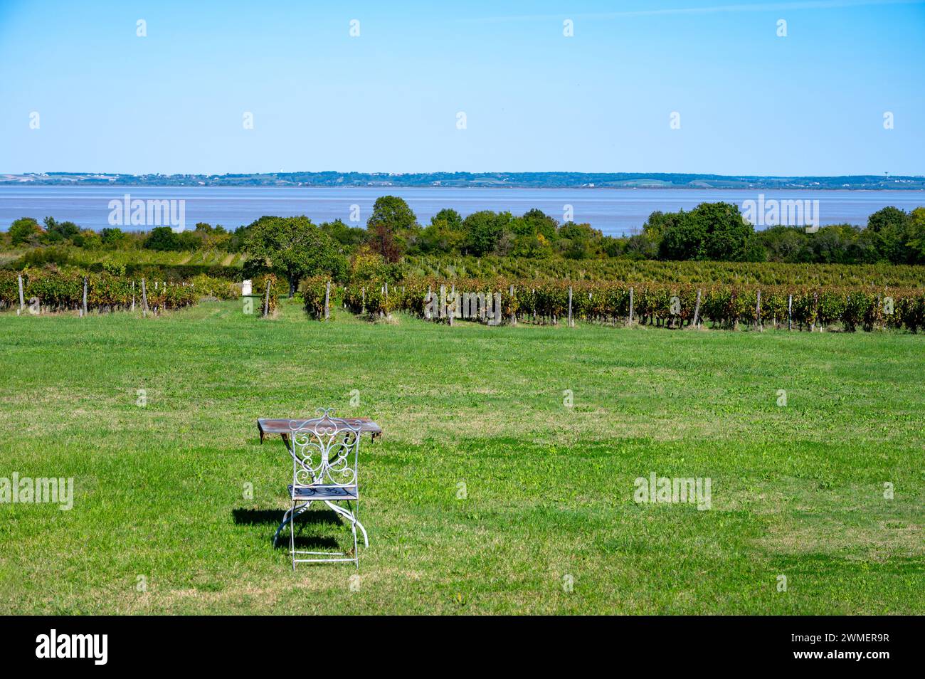 Erntezeit auf grünen Weinbergen, Weindomäne oder Schloss in der Region Haut-Medoc für Rotweine, Bordeaux, linkes Ufer der Mündung der Gironde, Frankreich Stockfoto