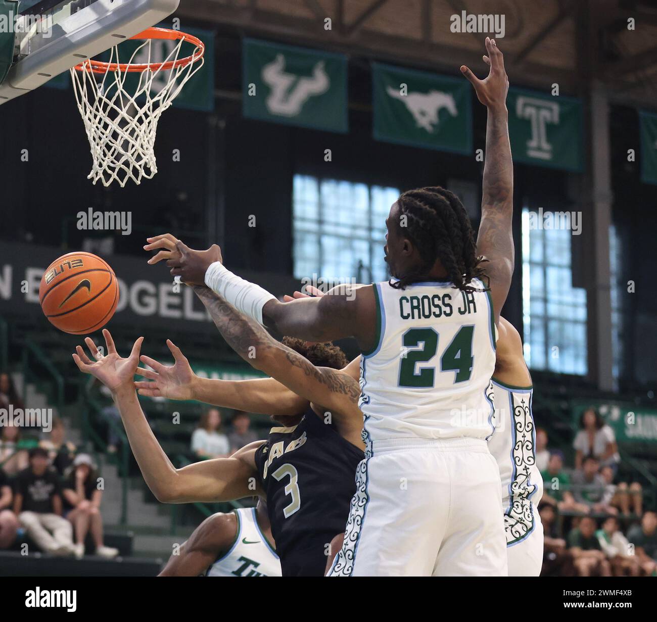 New Orleans, USA. Februar 2024. Während eines Basketballspiels der American Athletic Conference in der Fogleman Arena in New Orleans, Louisiana, am Sonntag, den 25. Februar 2024. (Foto: Peter G. Forest/SIPA USA) Credit: SIPA USA/Alamy Live News Stockfoto