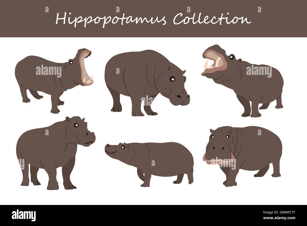 Hippopotamus-Vektor-Illustration Set. Hippopotamus-Zeichentrickfigur. Stock Vektor