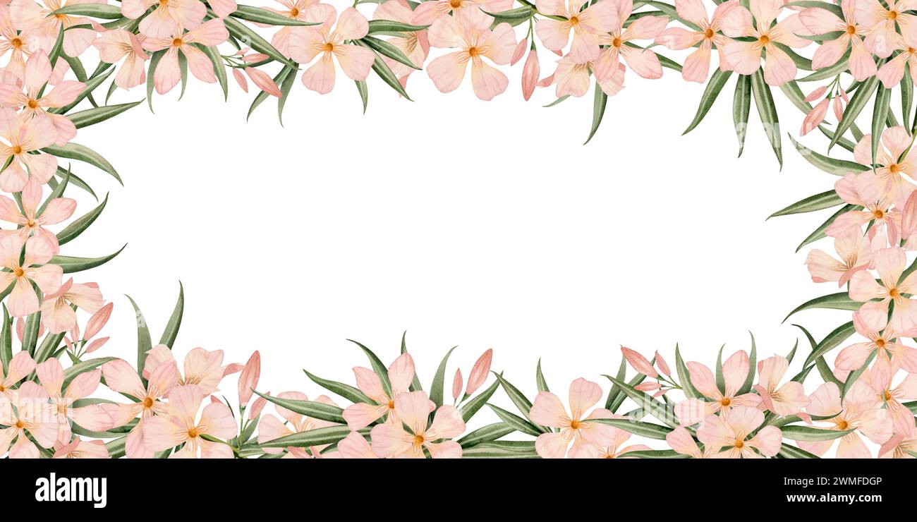 Oleander tropische Blumen horizontal oder vertikal. Illustration mit Blumenaquarell. Botanische Sommervorlage Stockfoto