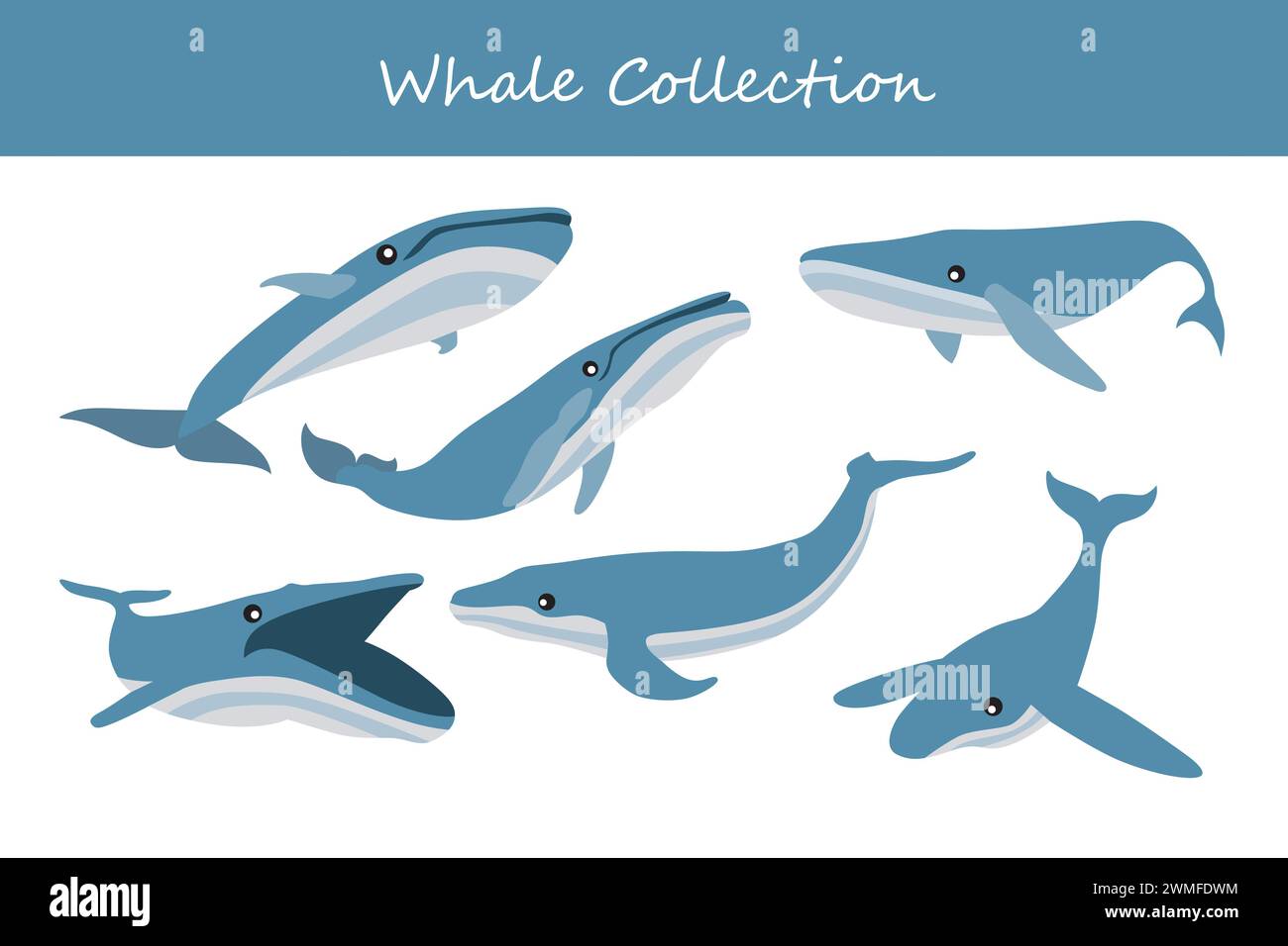 Whale Vector Illustrations Set. Niedlicher Zeichentrickwal in verschiedenen Posen. Stock Vektor