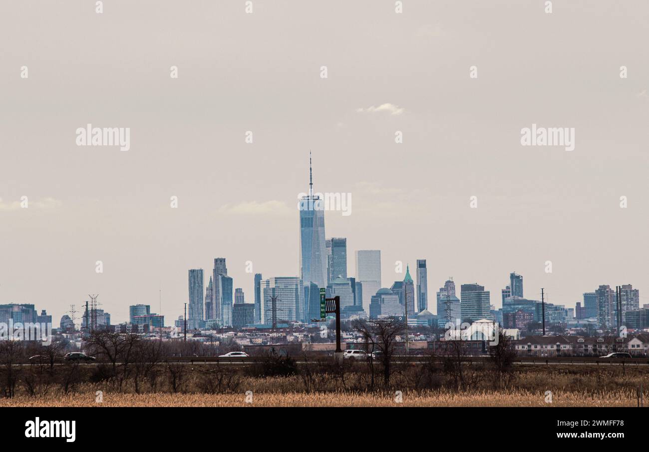 Skyline der Stadt mit hohen Wolkenkratzern mit Blick auf ein wenig Gras Stockfoto