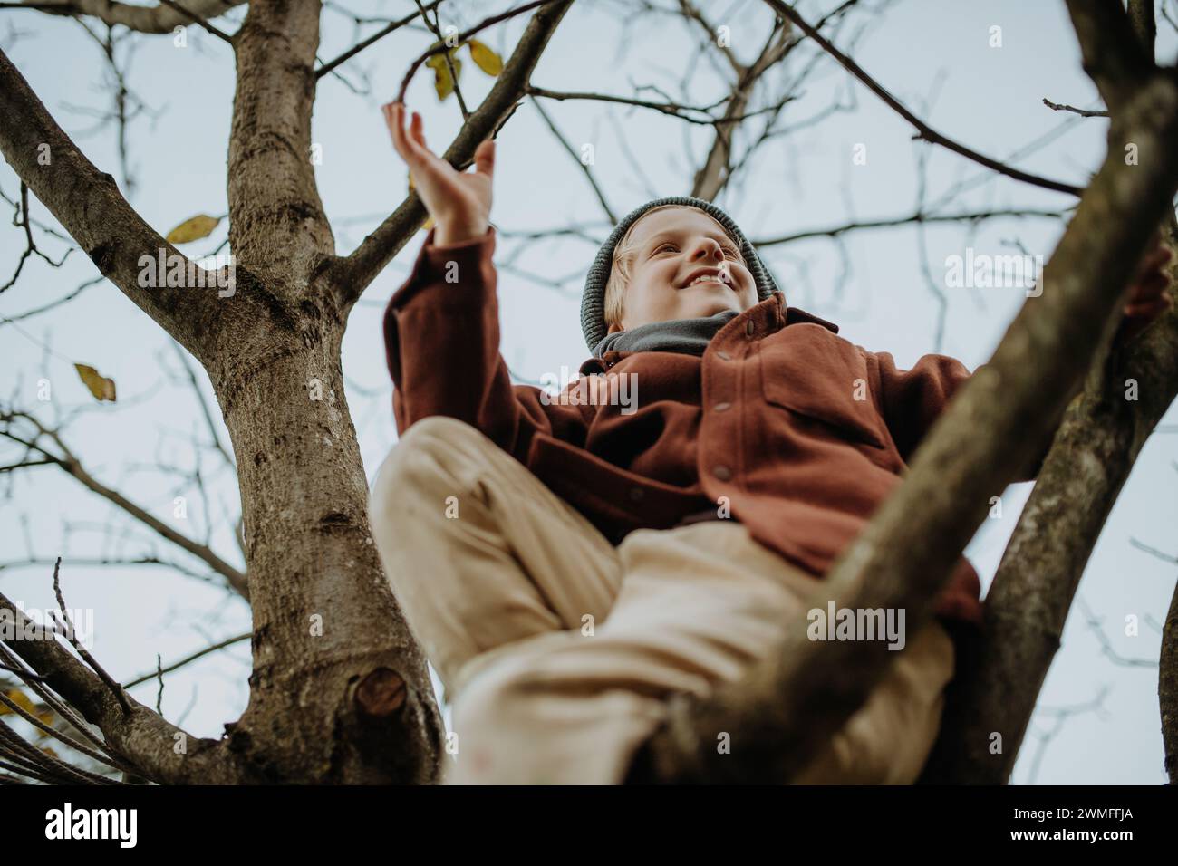 Glücklicher Junge, der an den ersten Frühlingstagen auf dem Baum spielt. Ein kleines Kind klettert auf den Baum, sitzt auf einem Ast und lächelt. Gartenaktivitäten im Freien für junge Kinder Stockfoto