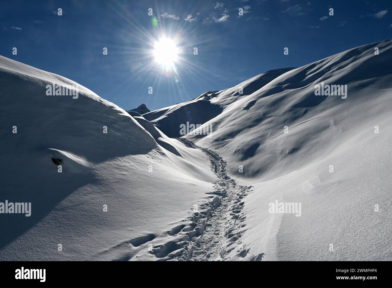 Schneeschuhwandern im Naturpark Beverin, Graubünden, Schweiz Stockfoto