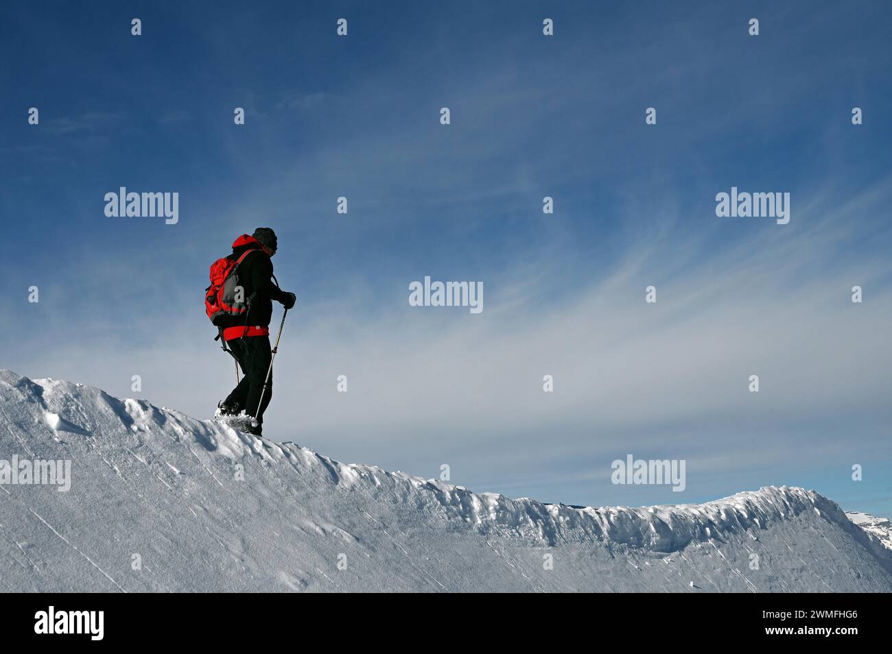 Schneeschuhwandern im Naturpark Beverin, Graubünden, Schweiz Stockfoto