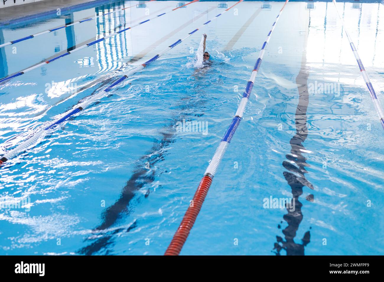Die Schwimmer üben in einem Hallenbad und konzentrieren sich dabei auf ihre Schläge Stockfoto