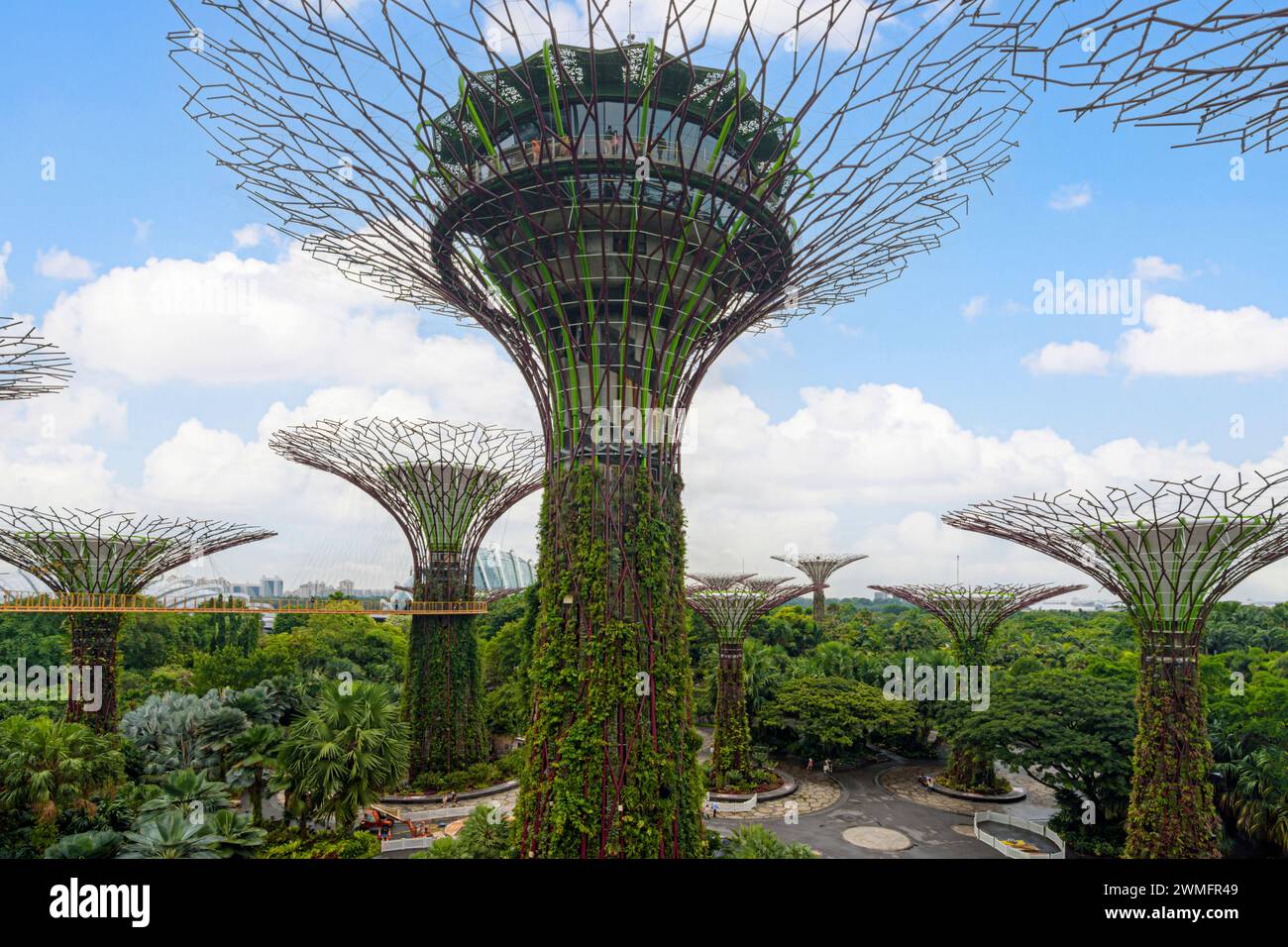Die Supertree Grove Gardens by the Bay, Singapur Stockfoto