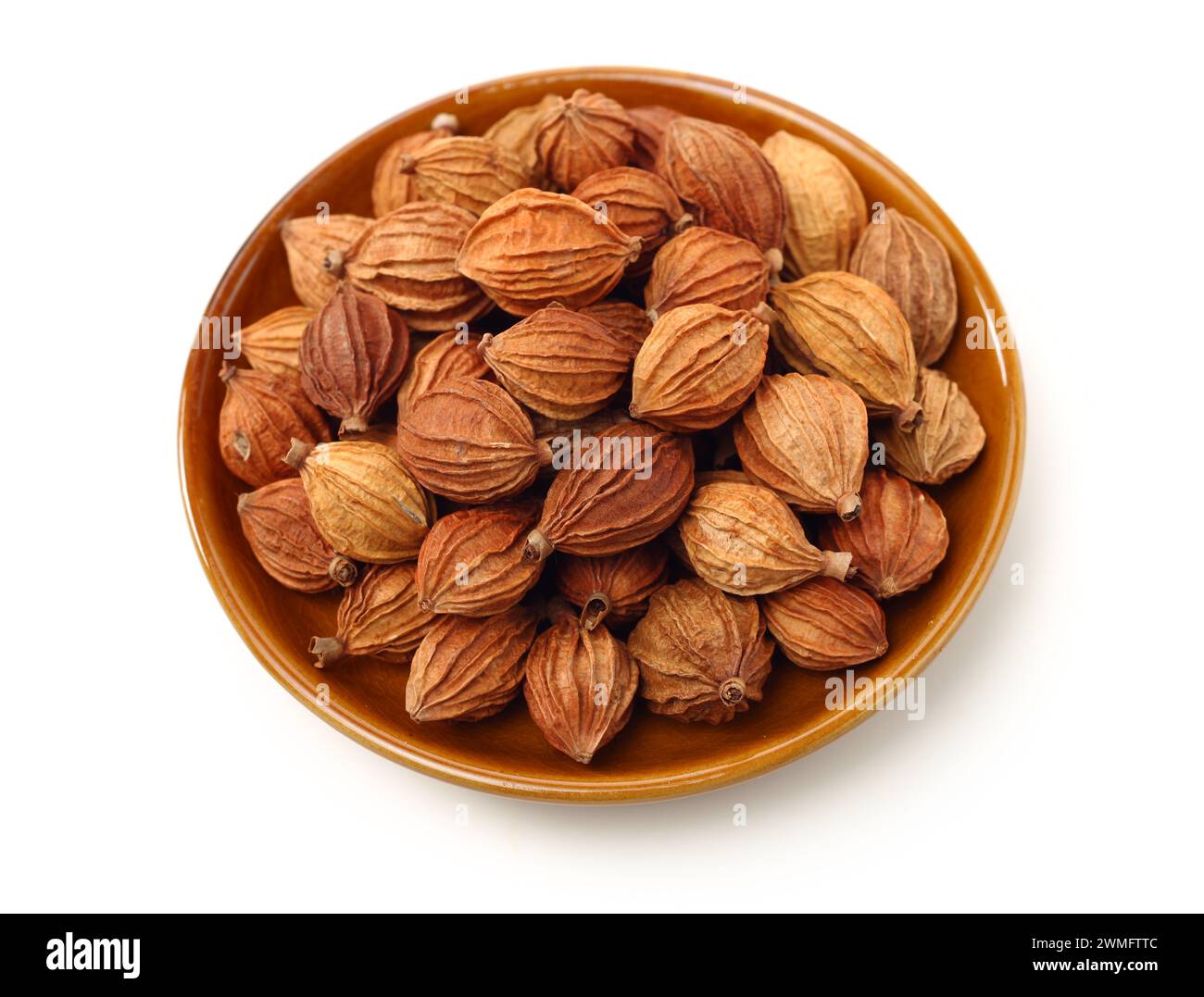 Getrocknete Kräuter, Lateinischer Name: Amomum villosum Lour. Chinesische Name: Xiang Sha Ren und bekannt als Cocklebur - wie Amomum Obst, Fructus Amomi, Villous Amomum Fru Stockfoto