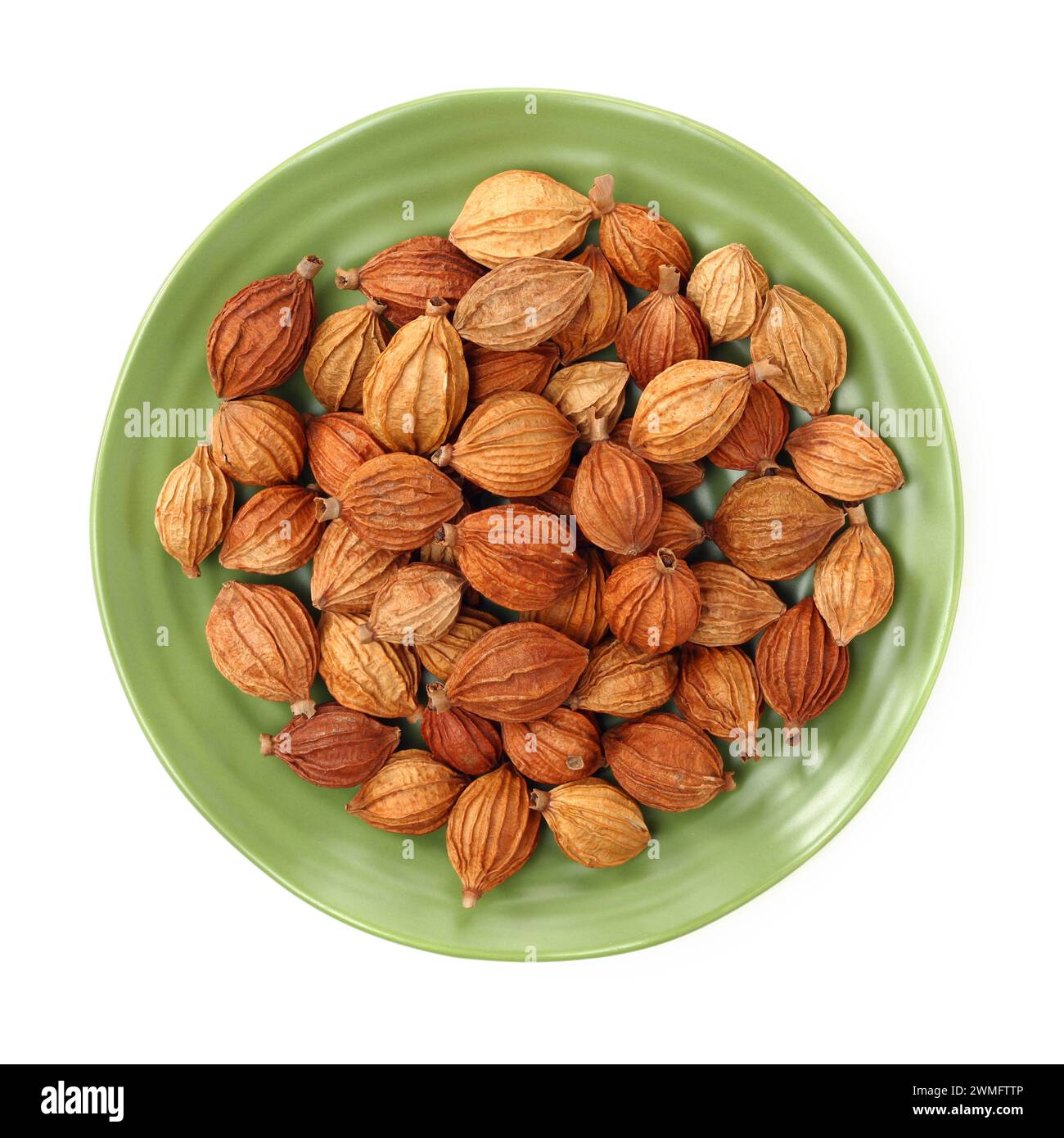 Getrocknete Kräuter, Lateinischer Name: Amomum villosum Lour. Chinesische Name: Xiang Sha Ren und bekannt als Cocklebur - wie Amomum Obst, Fructus Amomi, Villous Amomum Fru Stockfoto