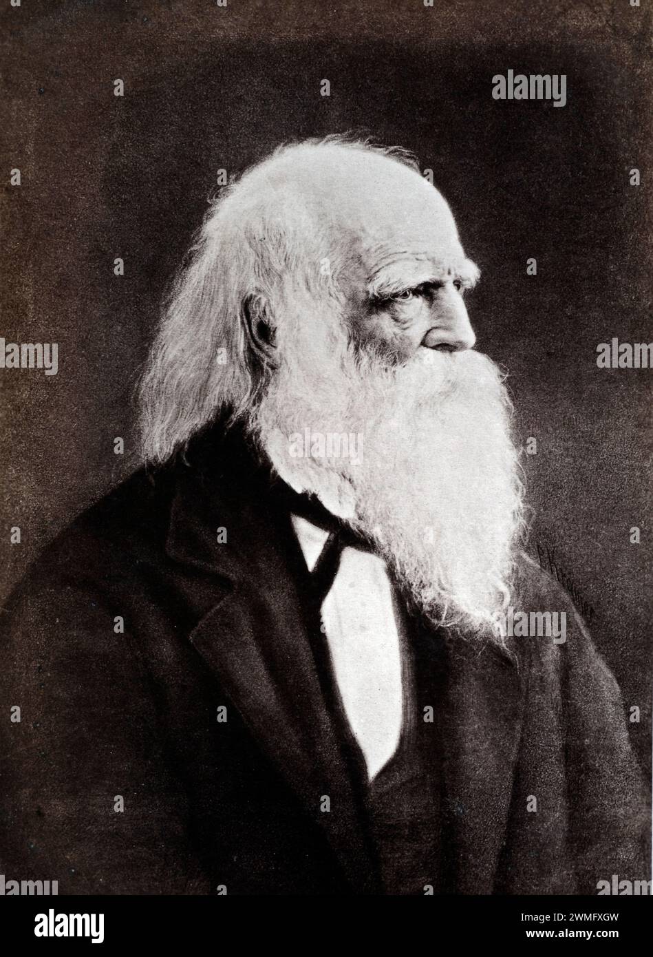 Porträt von William Cullen Bryant (1794–1878) US-amerikanischer Romantik-Dichter, Journalist und Herausgeber der New York Evening Post. Vintage oder Historic Albumen Print, 1860 Stockfoto