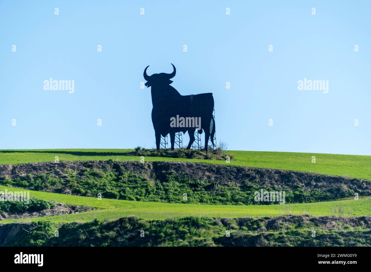 Ein großes schwarzes Bullschild, das oft auf Hügeln und Straßenrändern zu sehen ist und den vorbeifahrenden Verkehr in Spanien beobachtet, ist der Osborne Bulle Toro de Stockfoto