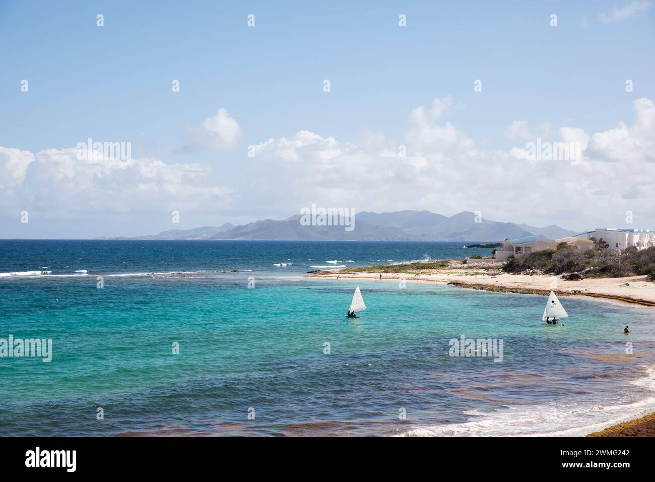 Karibisches Segelboot-Rennen an einem sonnigen Tag Stockfoto