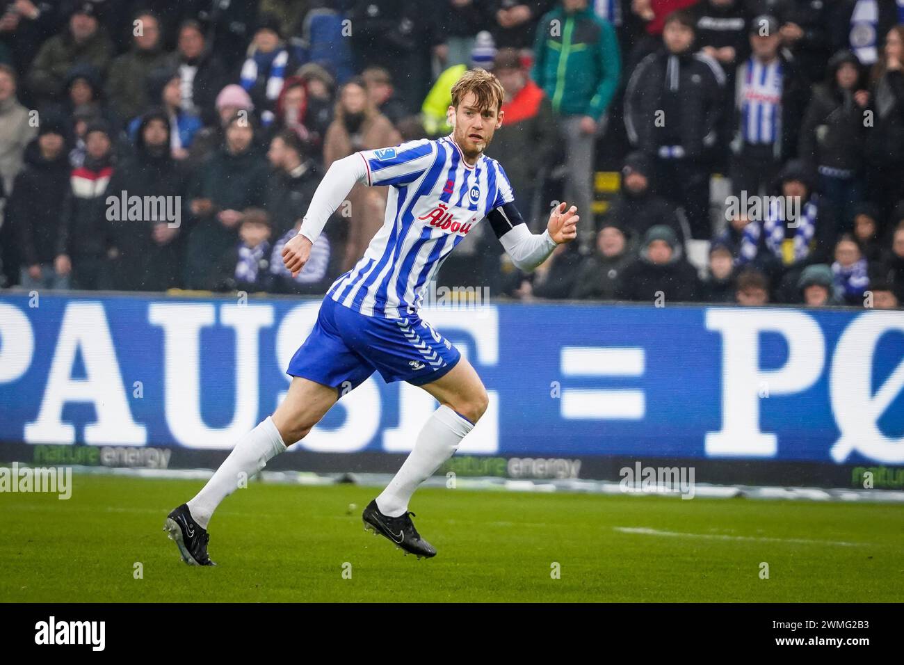 Odense, Dänemark. Februar 2024. Filip Helander (25) von ob wurde während des 3F Superliga-Spiels zwischen Odense BK und Broendby IF im Nature Energy Park in Odense gesehen. (Foto: Gonzales Photo/Alamy Live News Stockfoto