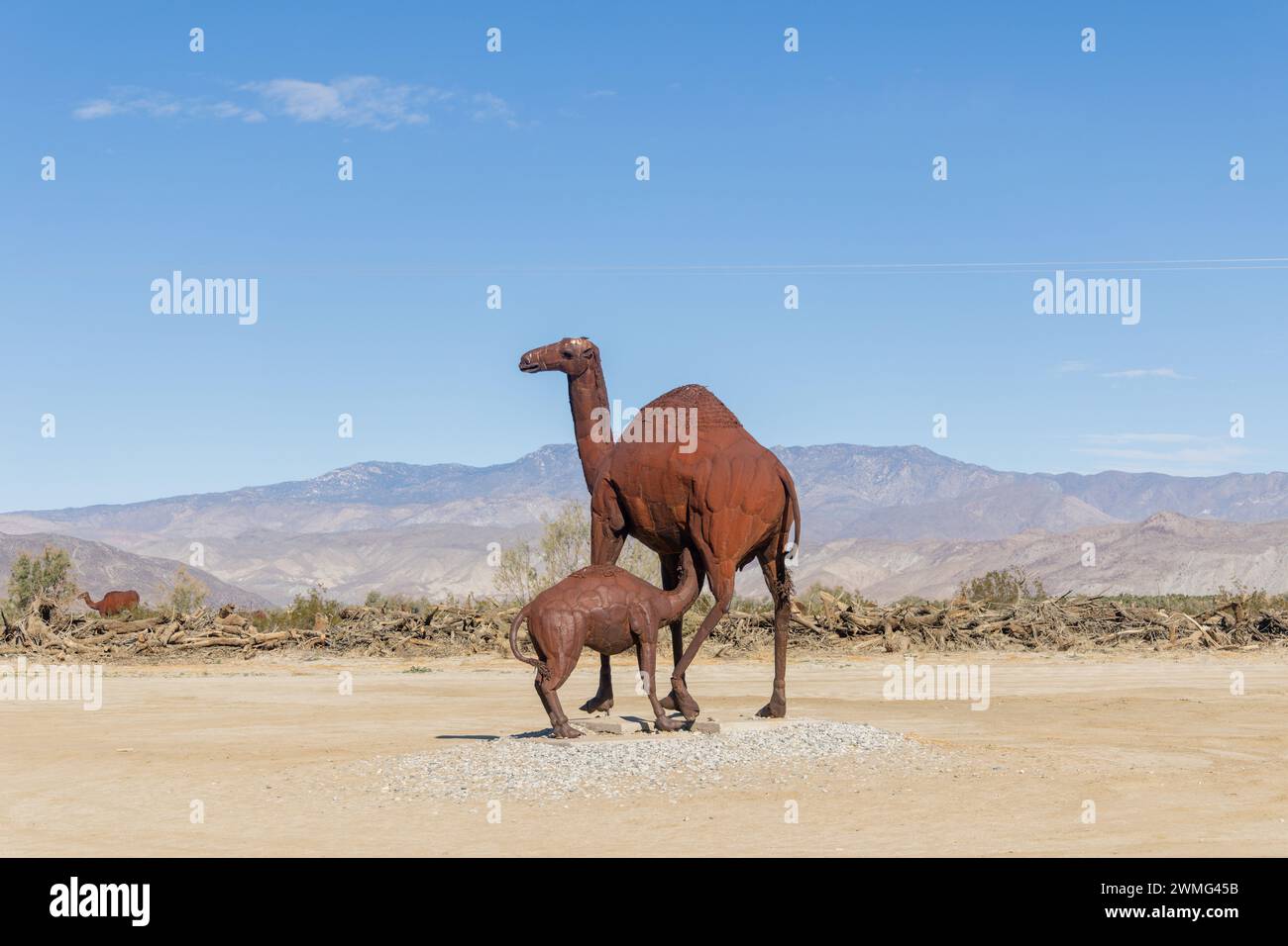 Kupferstatue von Kamelmutter und Baby in Borrego Springs Stockfoto